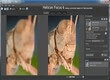 Helicon Focus - لقطة شاشة (1)