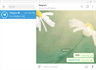 Telegram Desktop - لقطة شاشة (3)